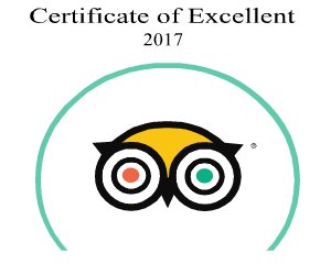 Certificate of Excellent 2017