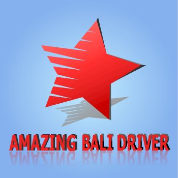 Amazing Bali Driver